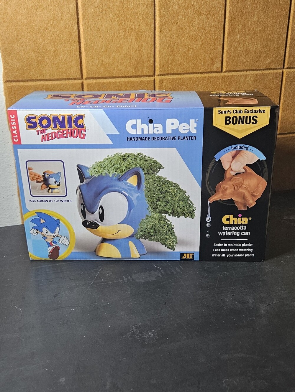 Chia Pet Sonic W/ Watering Can